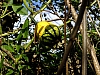 DSCF1339.jpg