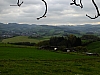 DSCF1342.jpg