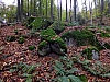 DSCF1345.jpg