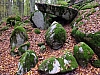 DSCF1347.jpg