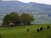 DSCF1349.jpg