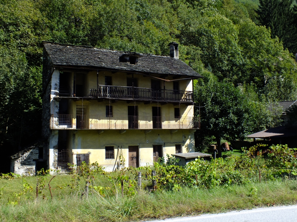 DSCF1128.jpg