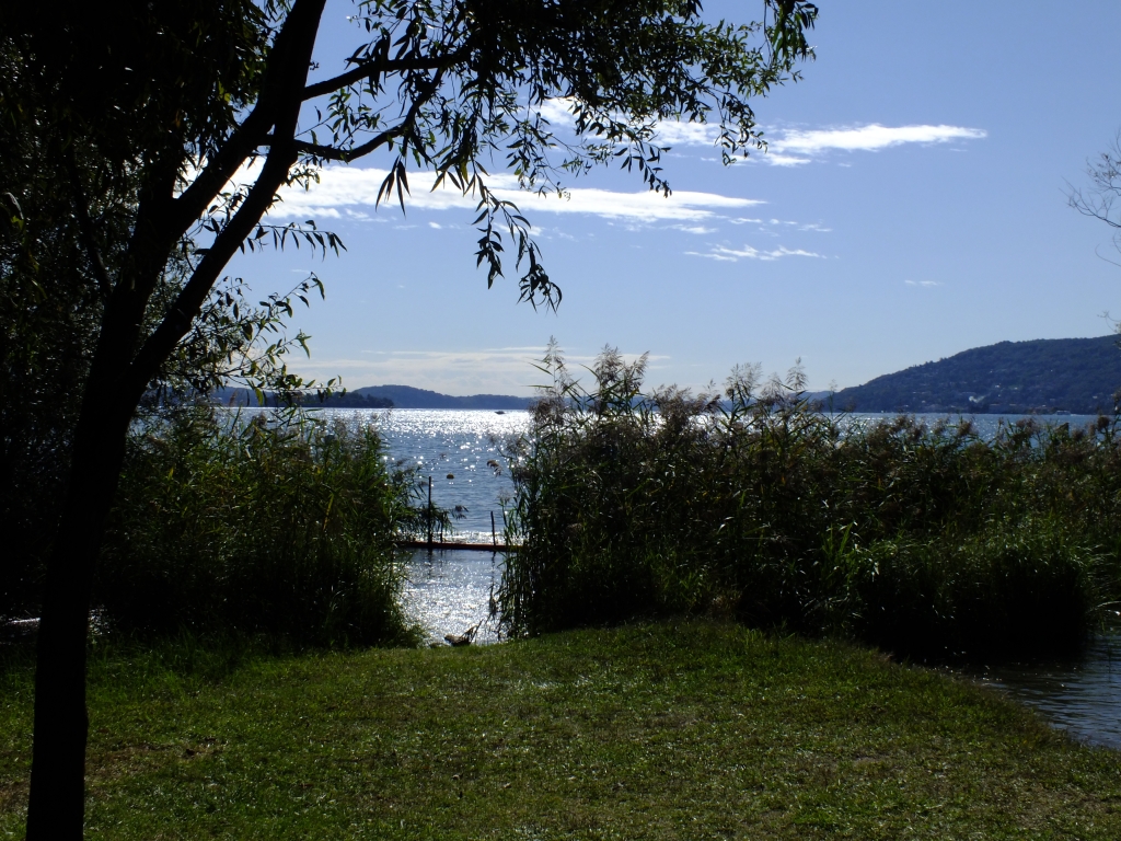 DSCF1141.jpg