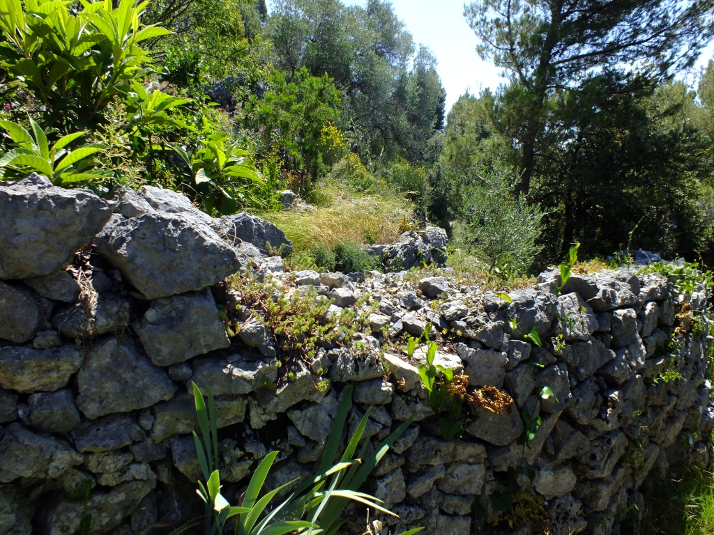 DSCF0710.jpg
