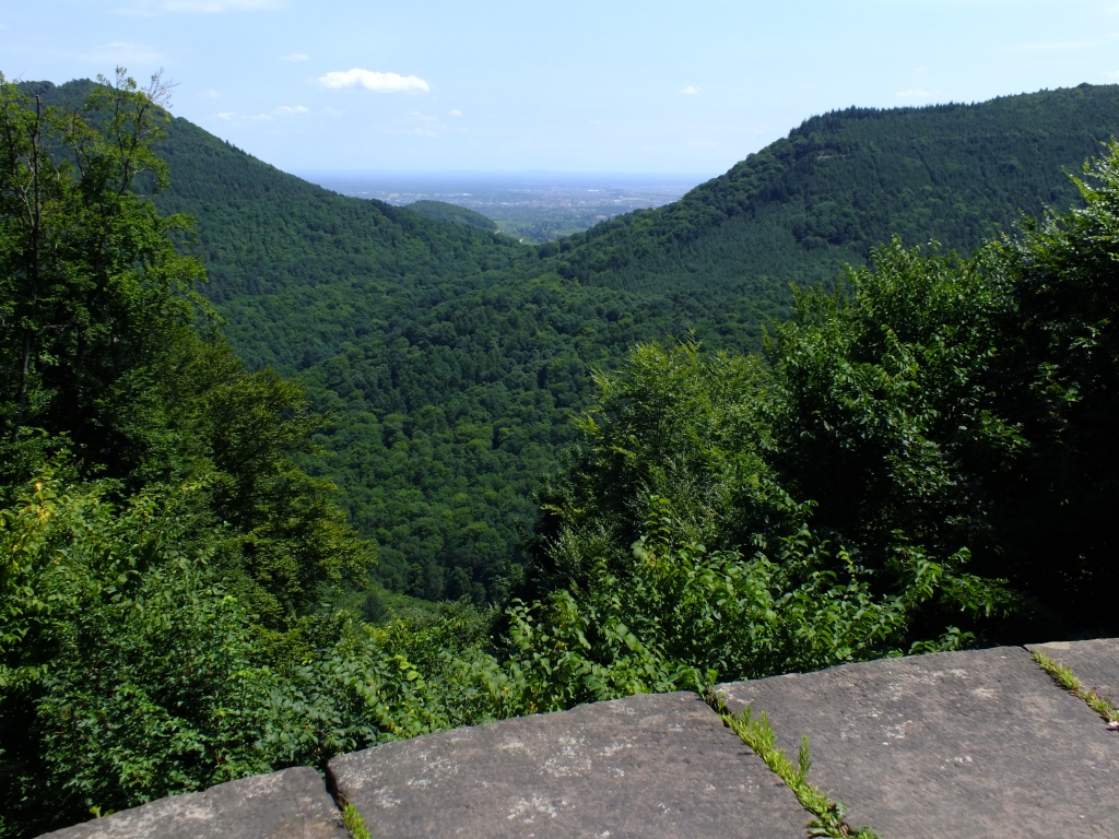 DSCF0881.jpg