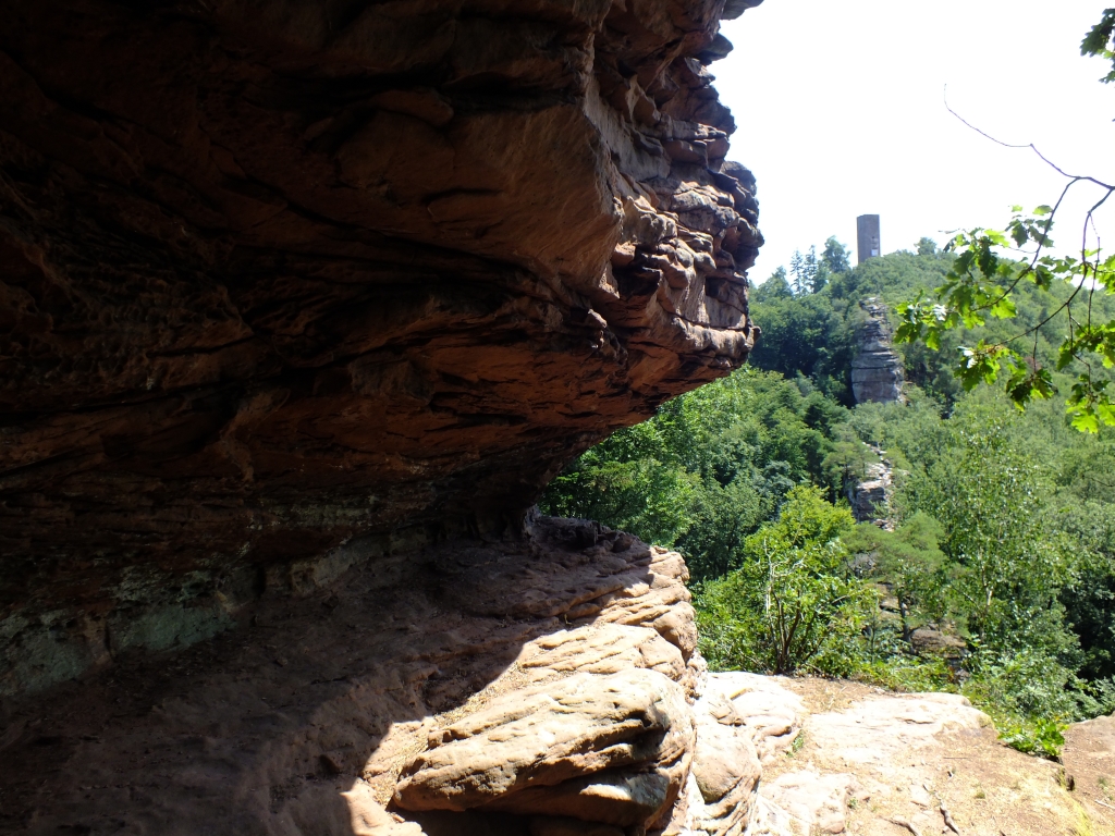 DSCF0888.jpg