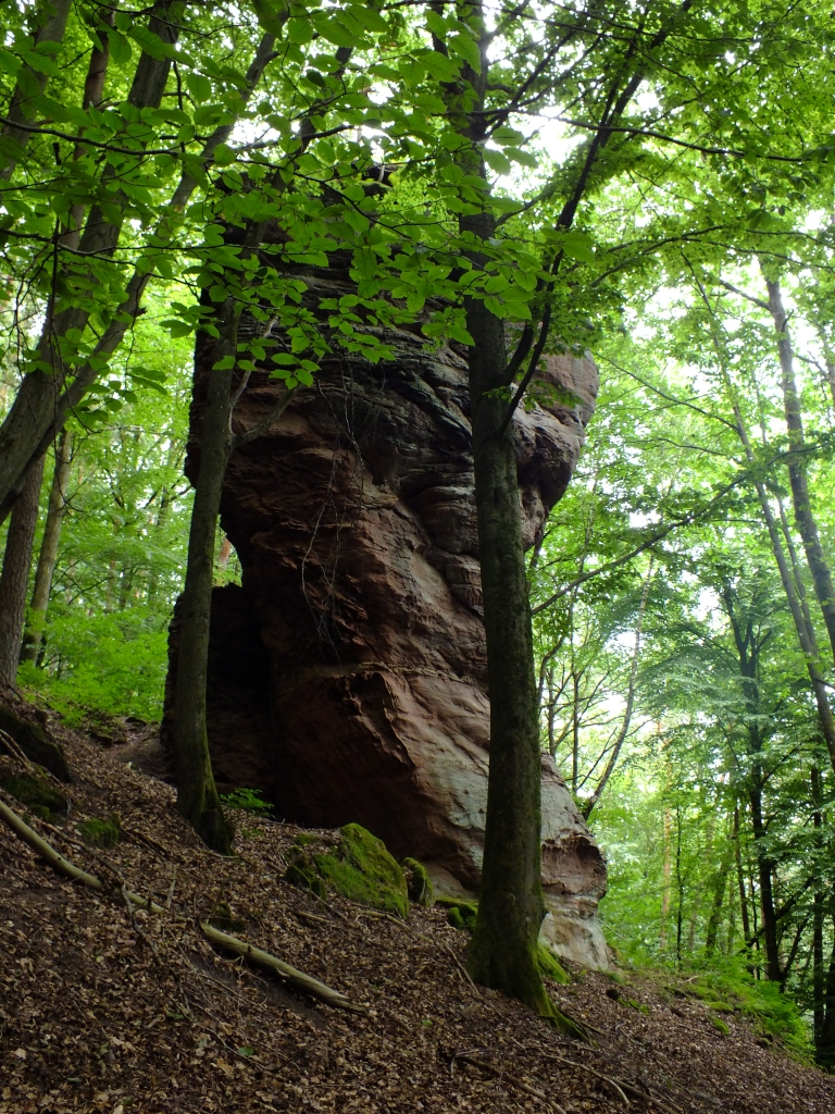 DSCF0902.jpg