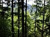 DSCF0877.jpg