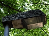 DSCF0884.jpg