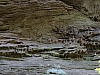 DSCF0886.jpg