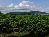 DSCF0894.jpg