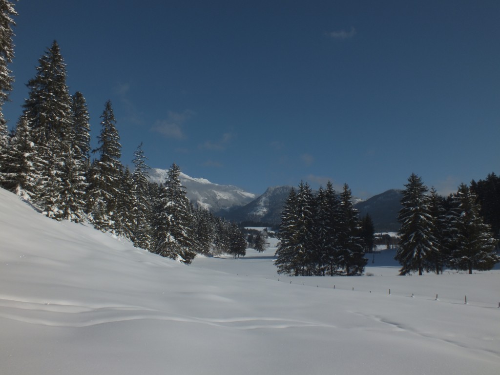 DSCF9863.jpg