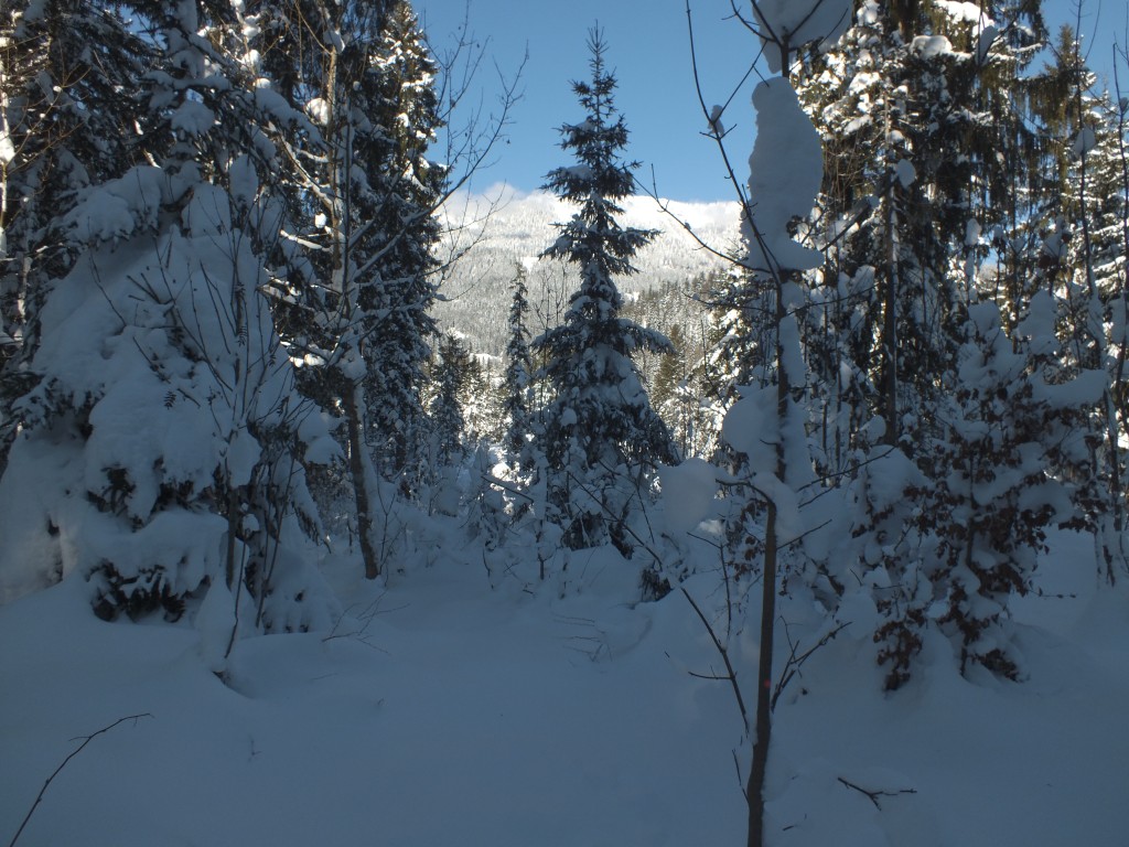 DSCF9875.jpg