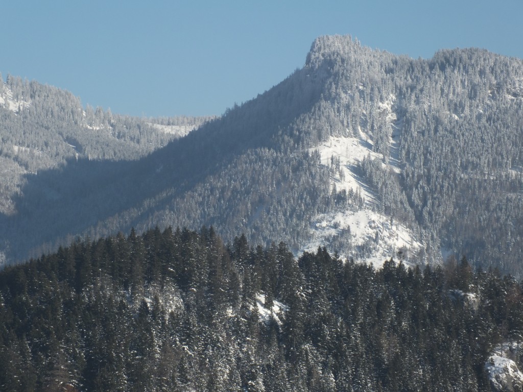 DSCF9894.jpg