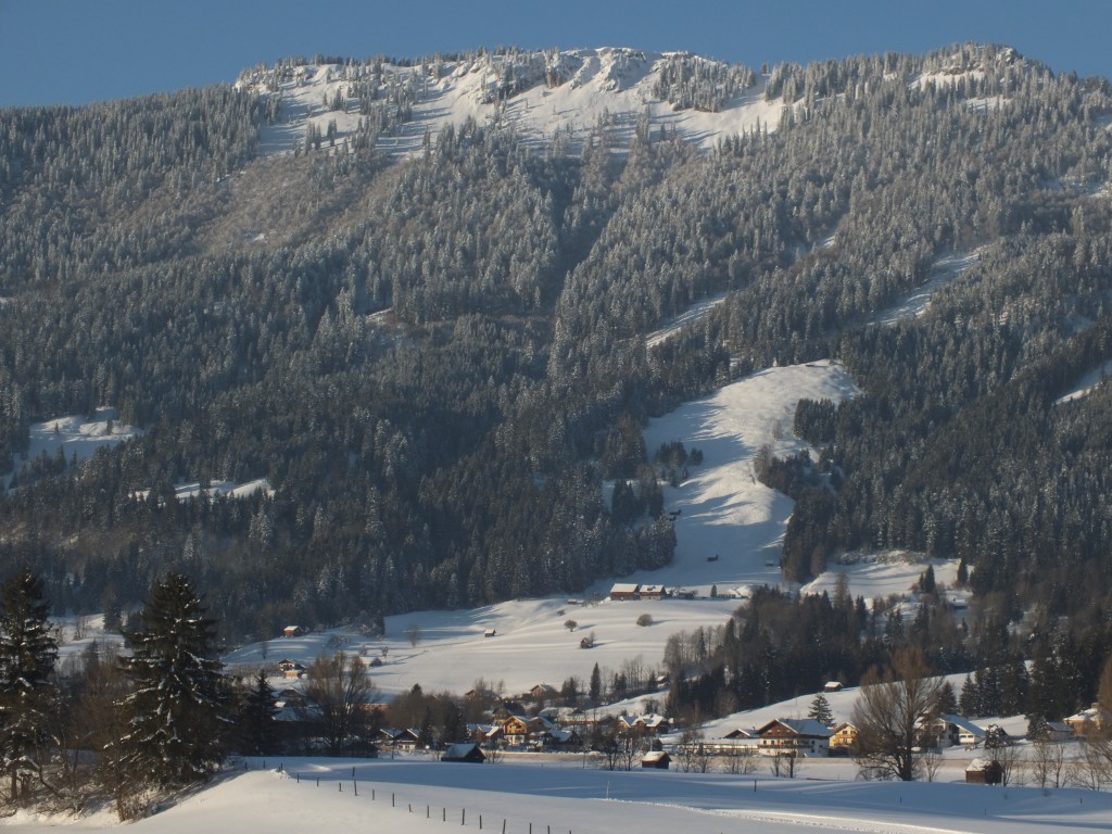 DSCF9906.jpg
