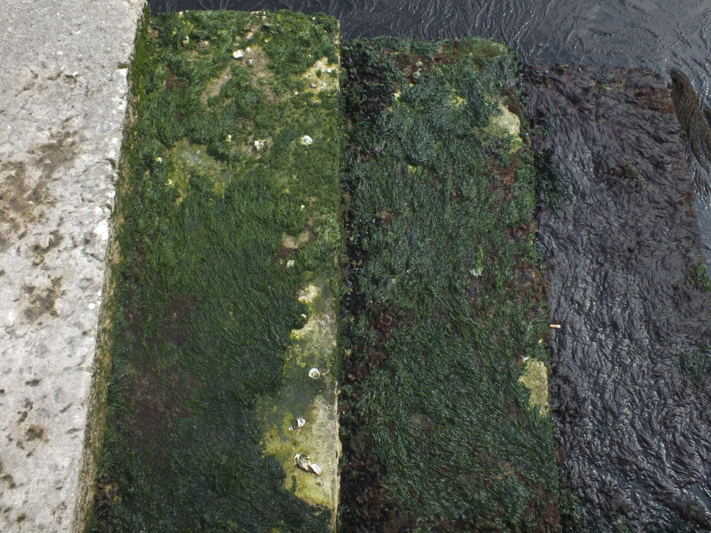 DSCF0105.jpg