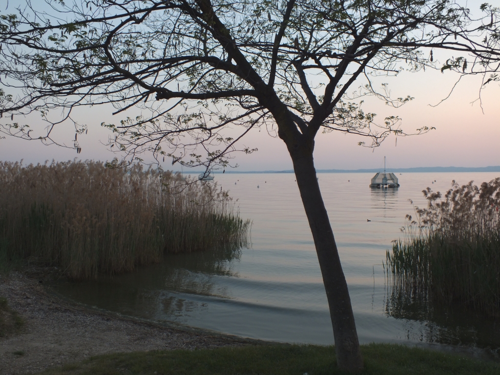 DSCF0224.jpg