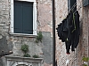 DSCF0050.jpg