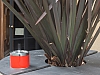 DSCF0137.jpg