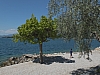 DSCF0198.jpg