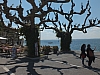 DSCF0211.jpg