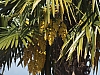 DSCF0221.jpg