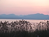 DSCF0223.jpg