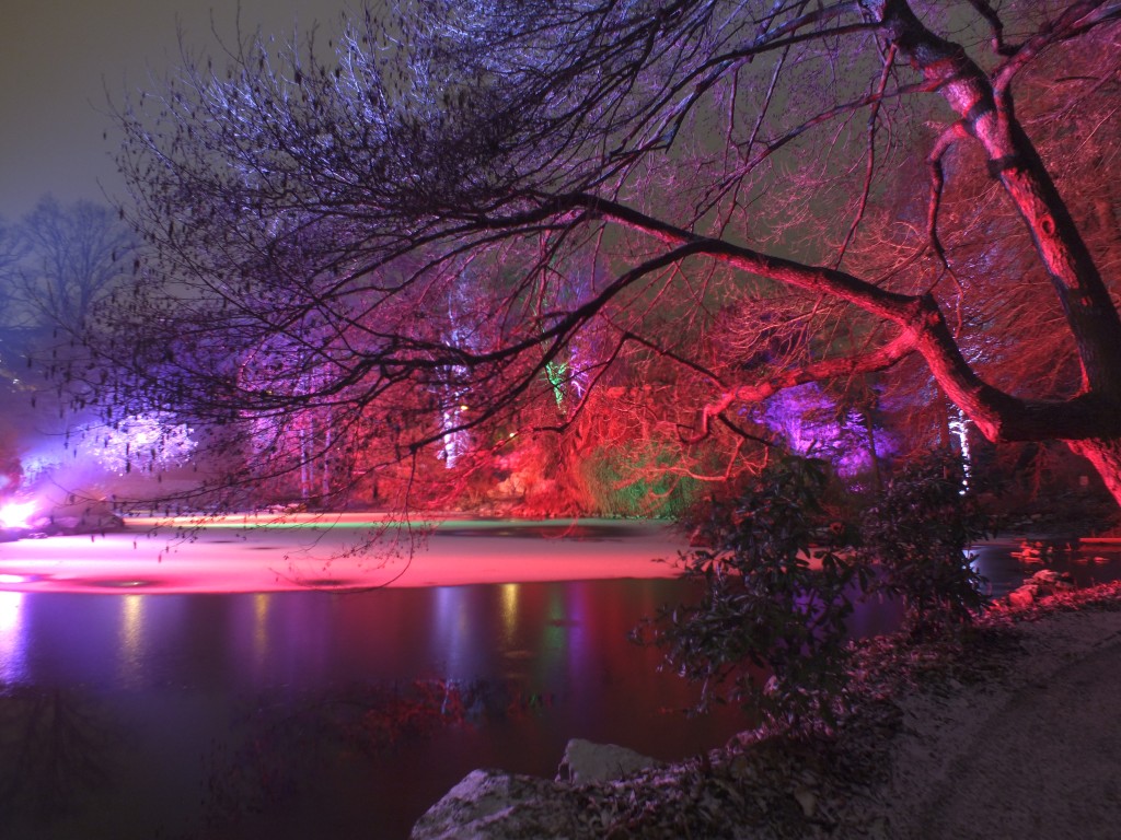 DSCF9783.jpg