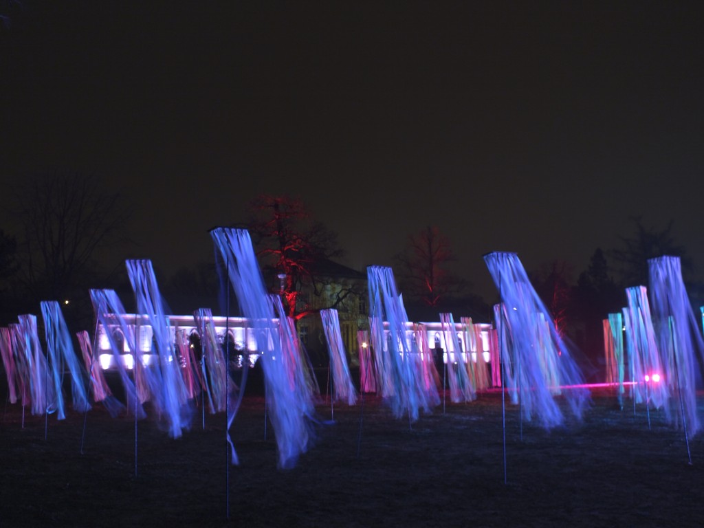 DSCF9803.jpg