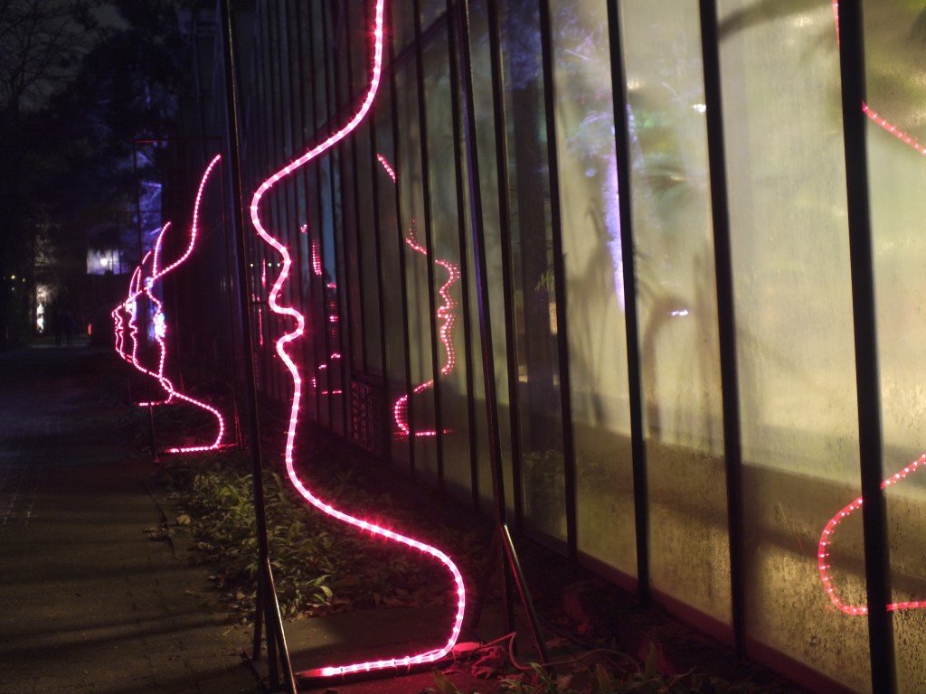 DSCF9808.jpg