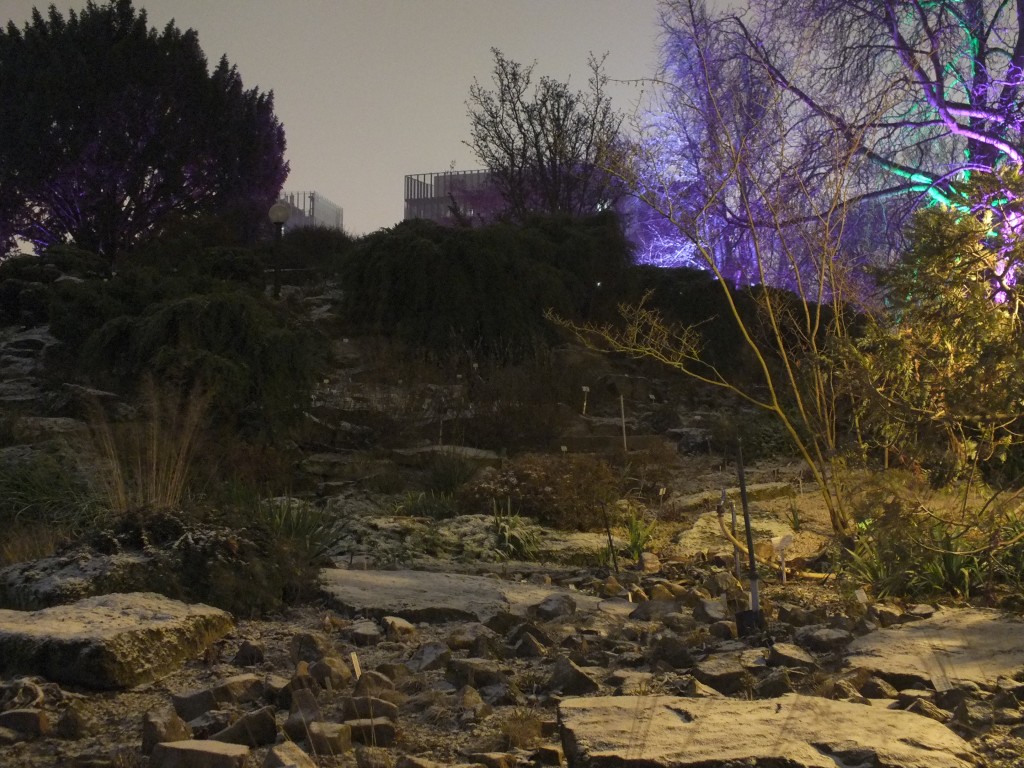 DSCF9816.jpg