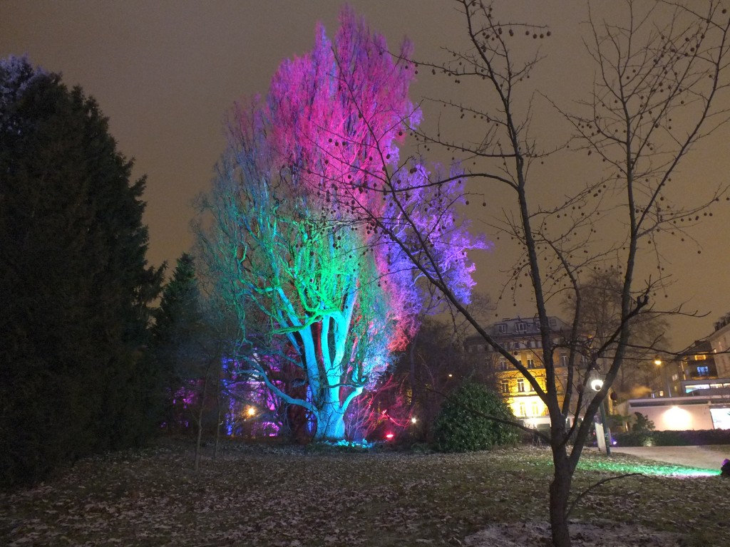 DSCF9829.jpg