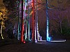 DSCF9779.jpg