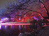 DSCF9783.jpg