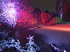 DSCF9785.jpg