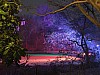 DSCF9788.jpg