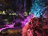 DSCF9825.jpg
