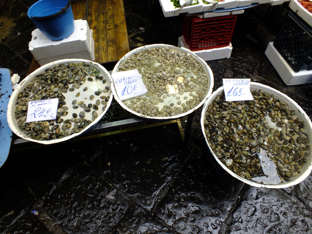 DSCF2107.jpg