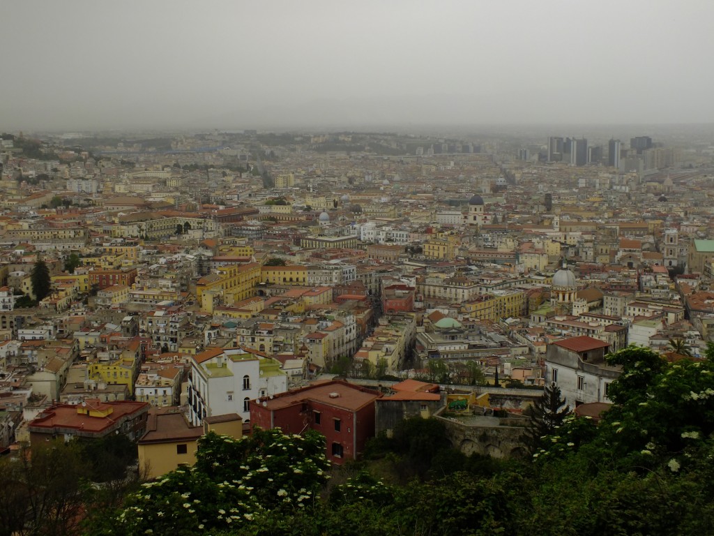 DSCF2120.jpg