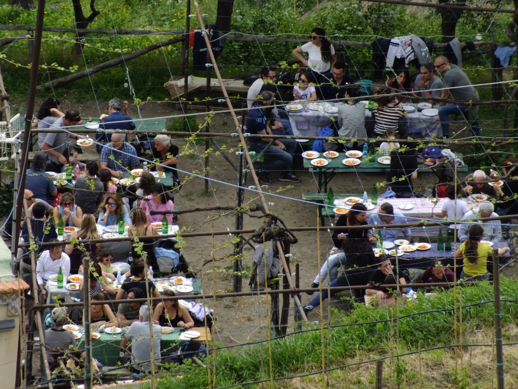 DSCF2156.jpg
