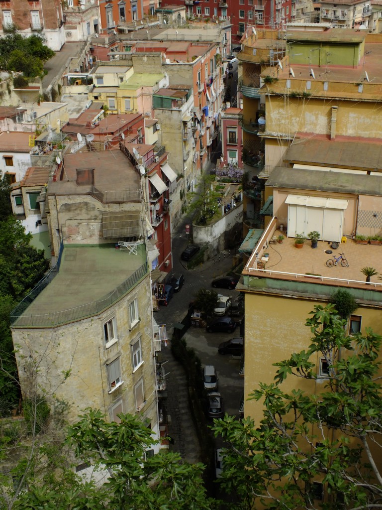 DSCF2171.jpg