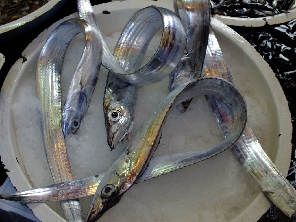 DSCF2316.jpg