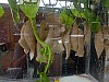 DSCF2217.jpg