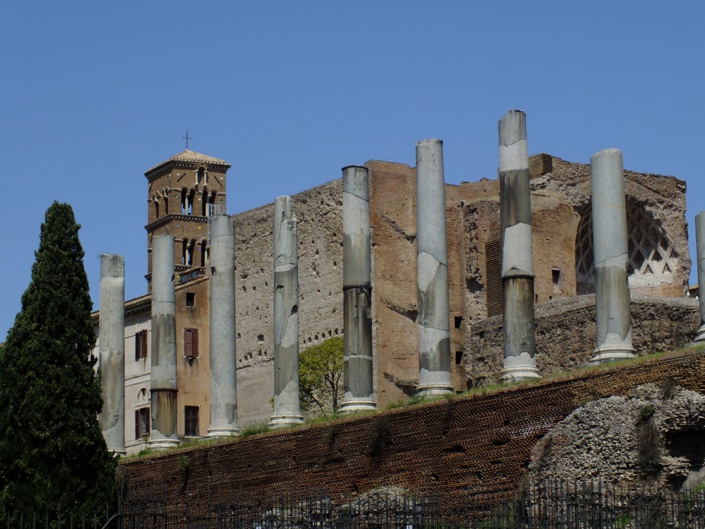 DSCF2372.jpg