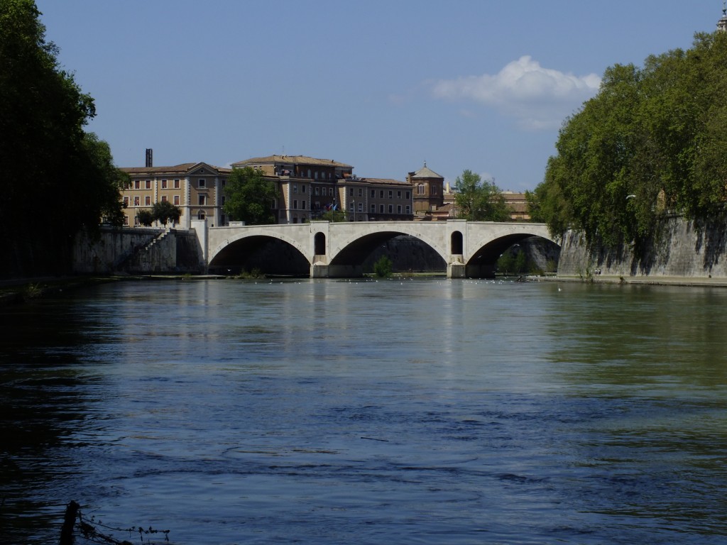 DSCF2433.jpg