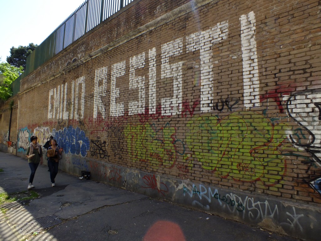 DSCF2486.jpg