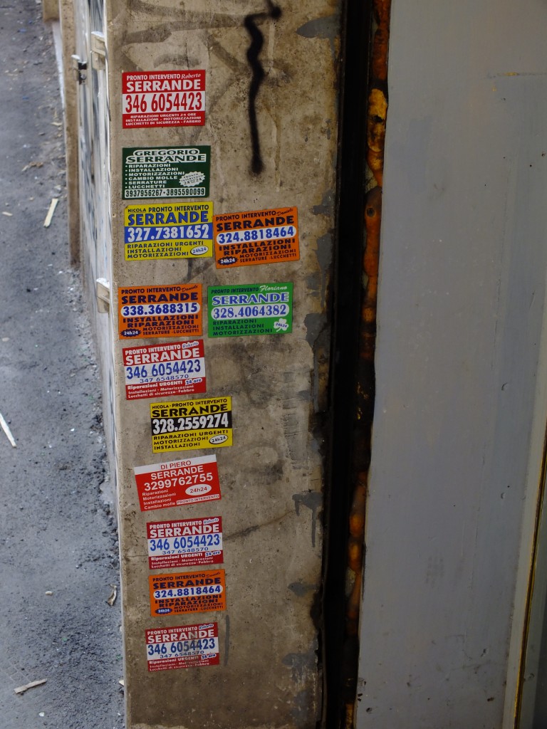 DSCF2498.jpg