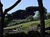 DSCF2373.jpg