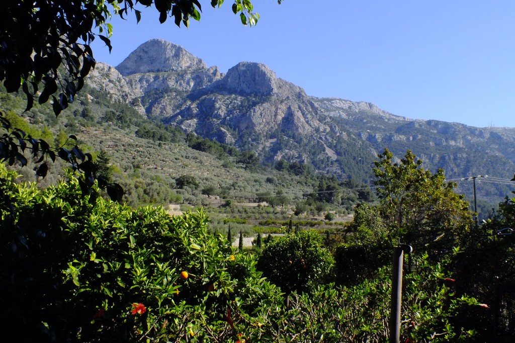 DSCF3145.jpg