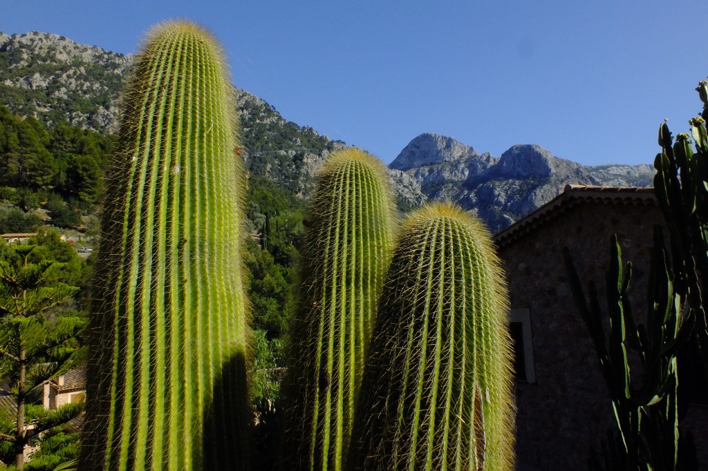 DSCF3148.jpg